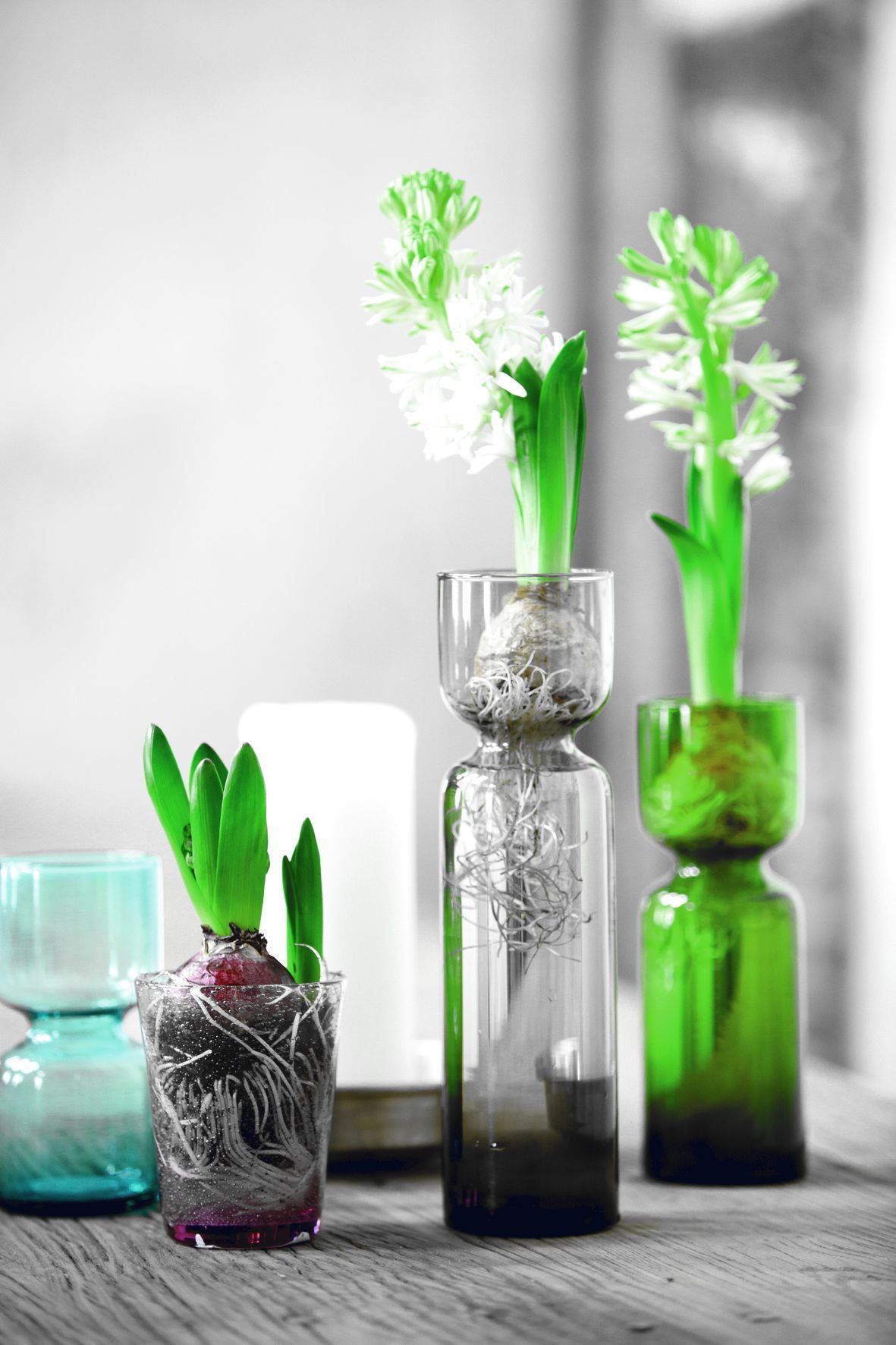 Váza hyacint Celina clear | Bella Rose