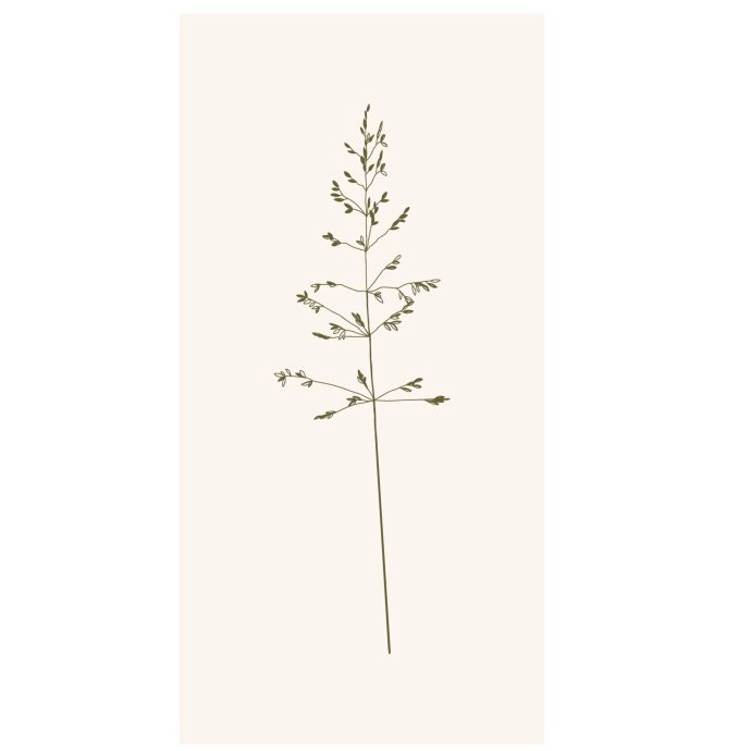 Papírové ubrousky Autumn Grass - 16 ks | Bella Rose