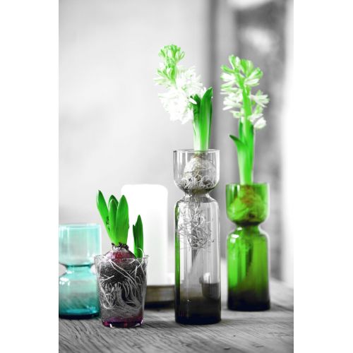 Váza hyacint Celina clear | Bella Rose